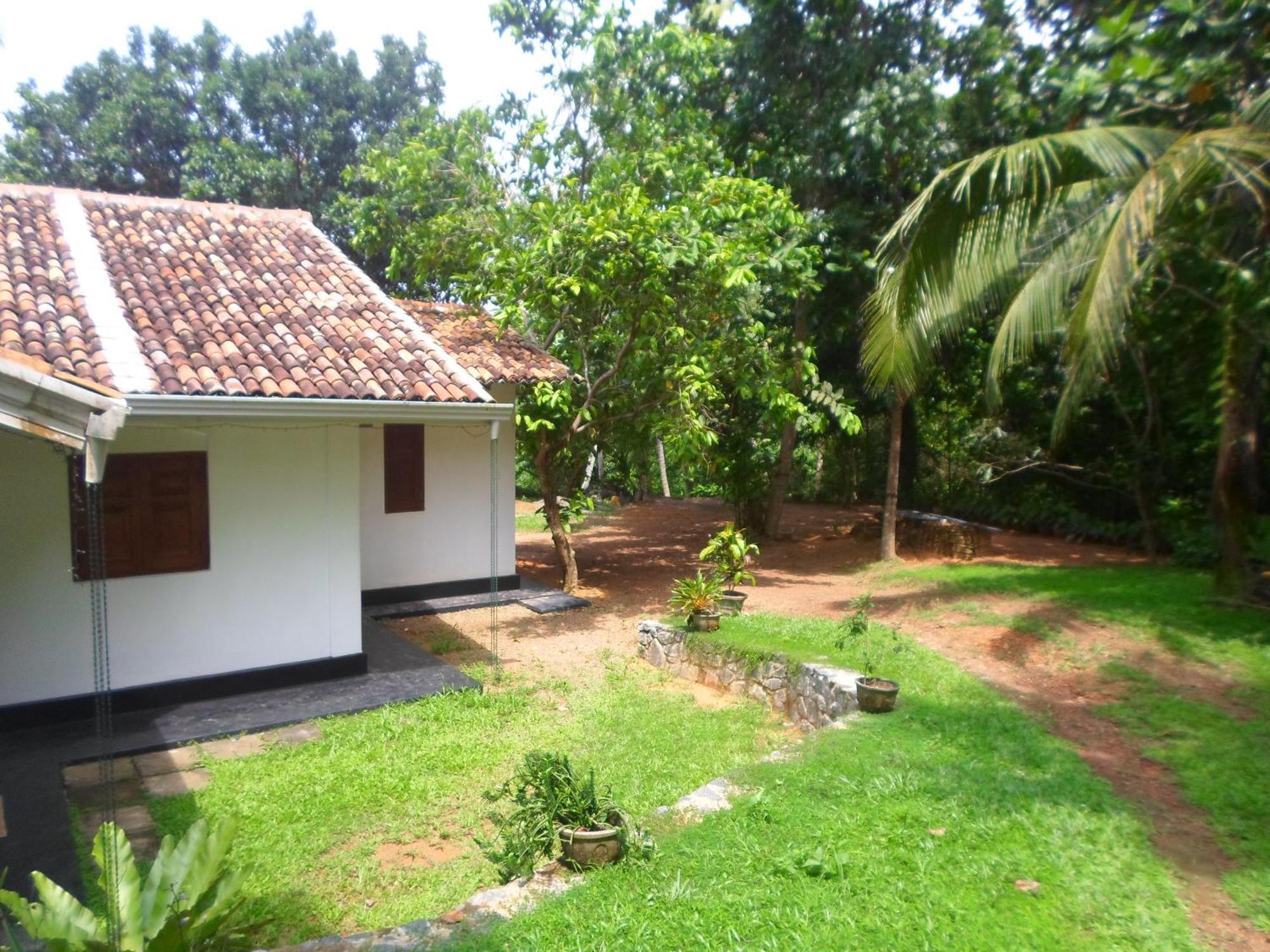 Chitra Ayurveda Hotel Bentota Phòng bức ảnh