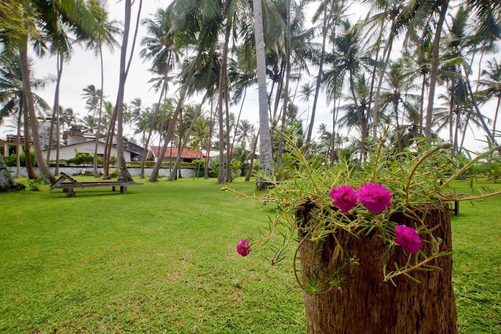 Chitra Ayurveda Hotel Bentota Ngoại thất bức ảnh