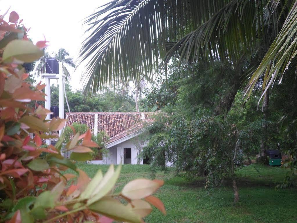 Chitra Ayurveda Hotel Bentota Ngoại thất bức ảnh